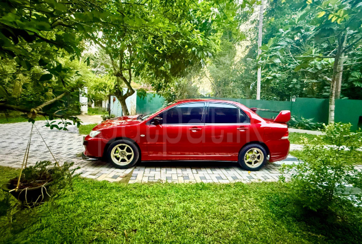 Advertisement image 2