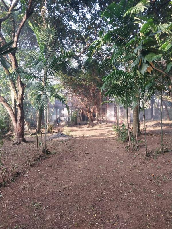 Commercial Land for Sale in Nugegoda ads-image-1