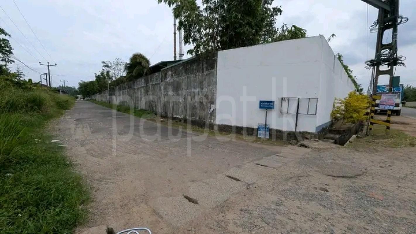 Agricultural Land for Sale in Minuwangoda