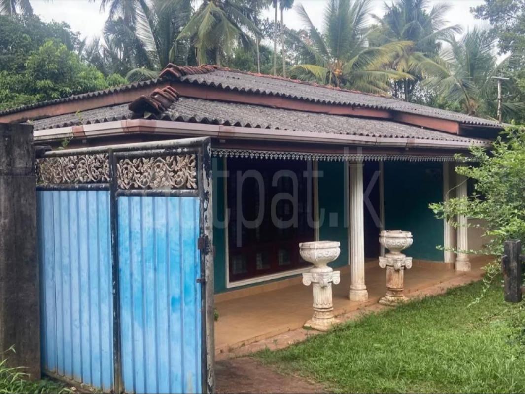 House for Sale in Nittambuwa ads-image-1