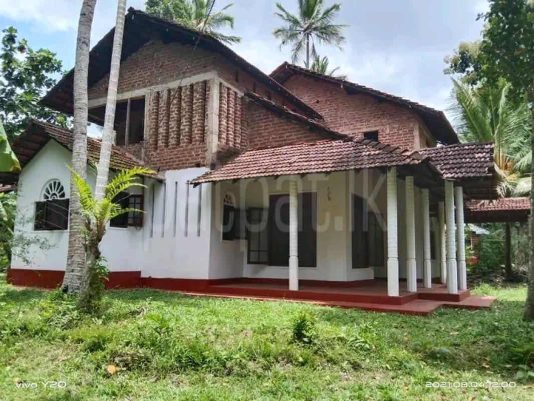 Advertisement image 4