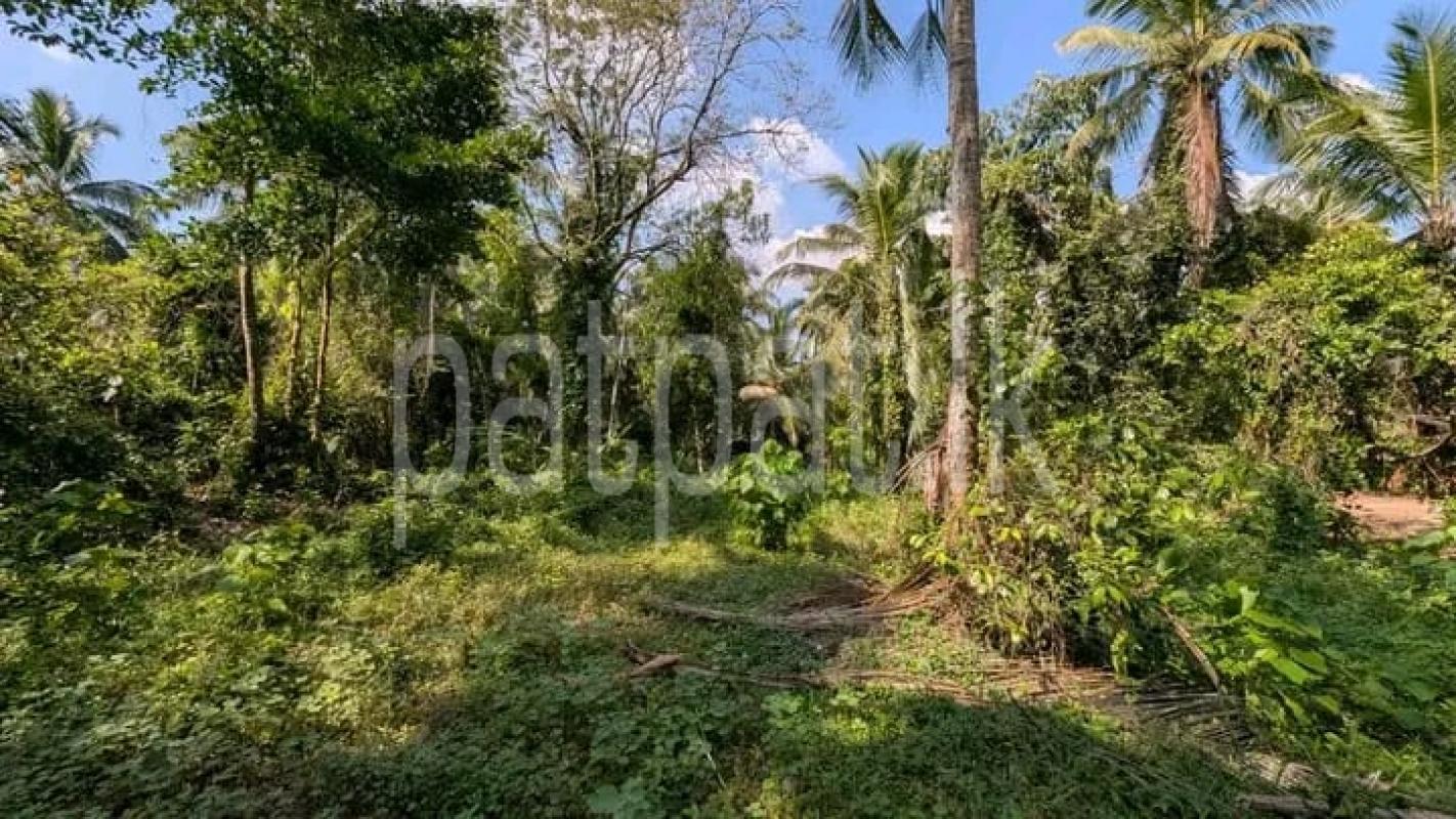Commercial Land for Sale in Gampaha ads-image-1
