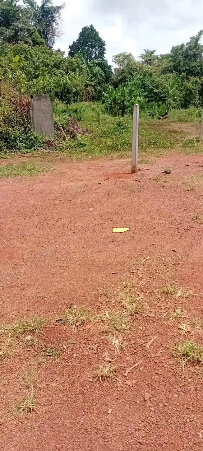 Residential Land for Sale in Ekala