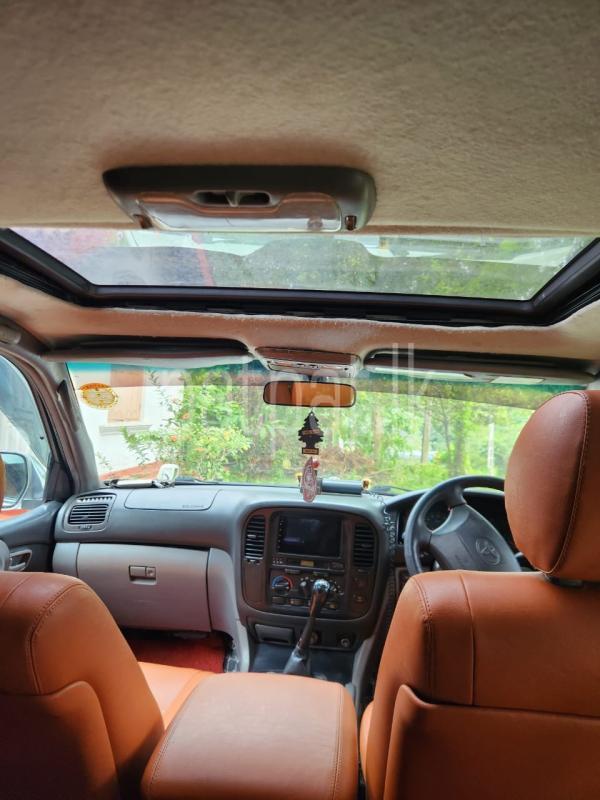 Advertisement image 5