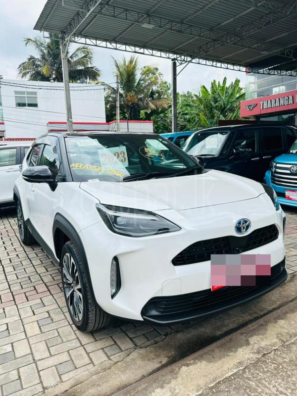 Advertisement image 2