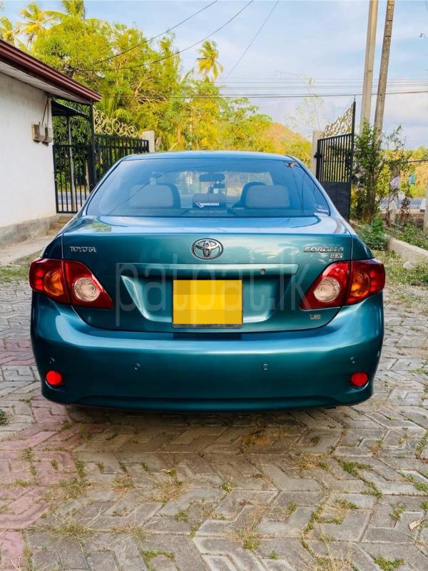 Advertisement image 3