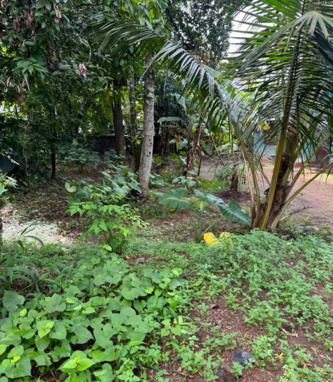 Residential Land for Sale in Nugegoda
