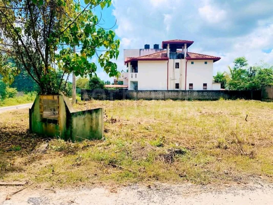 Commercial Land for Sale in Yakkala