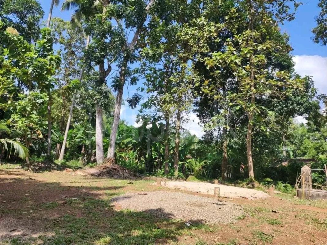 Residential Land for Sale in Panadura