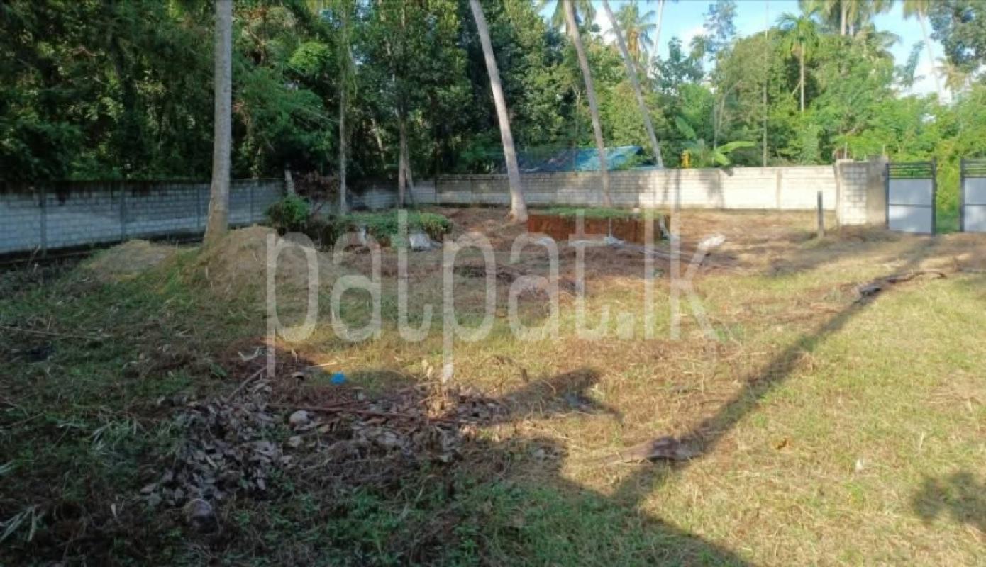 Advertisement image 1