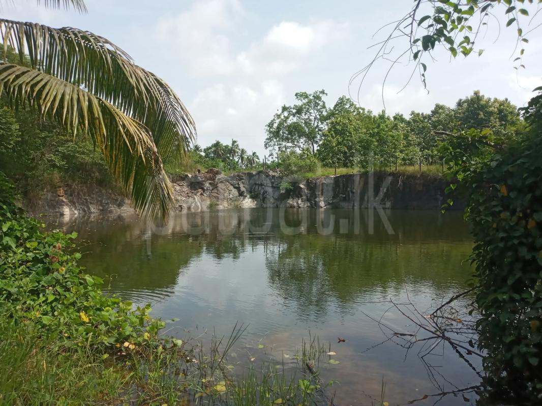 Agricultural Land for Sale in Kuliyapitiya