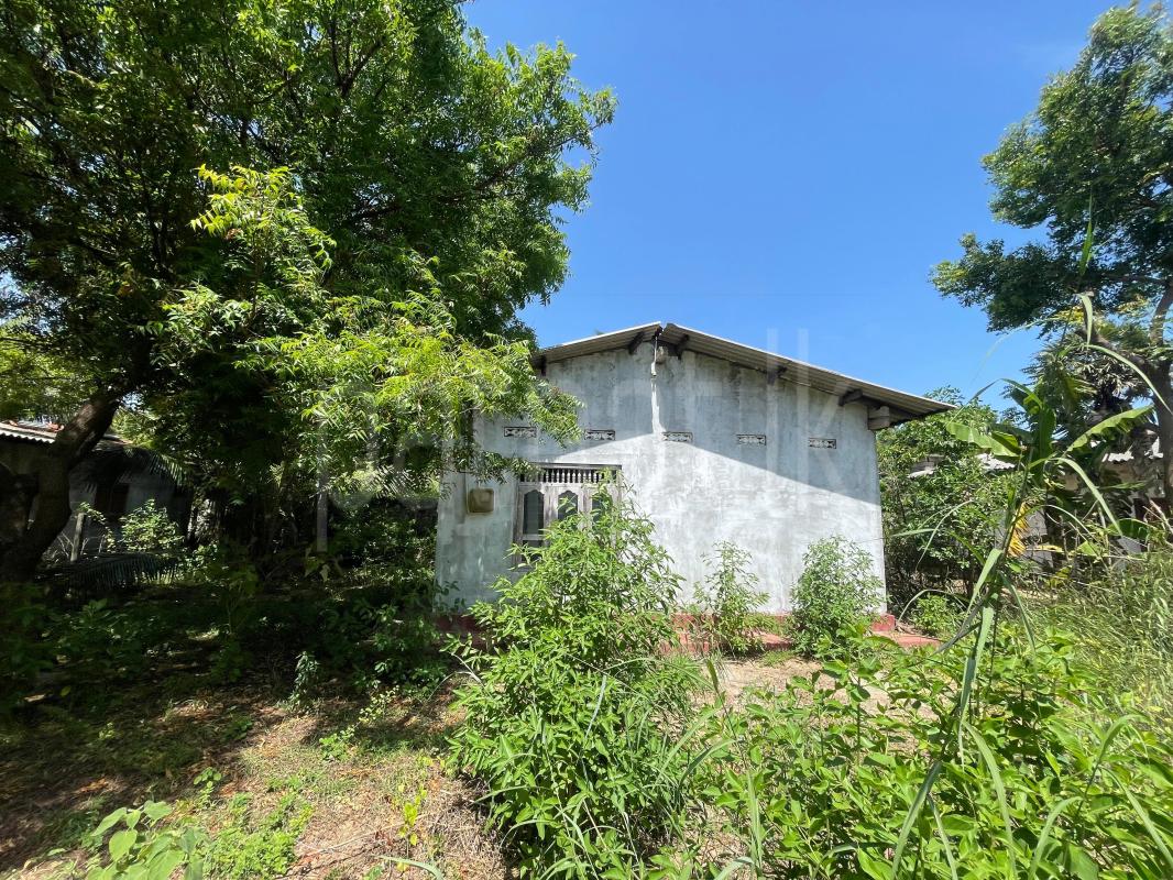 House for Sale in Chavakachcheri
