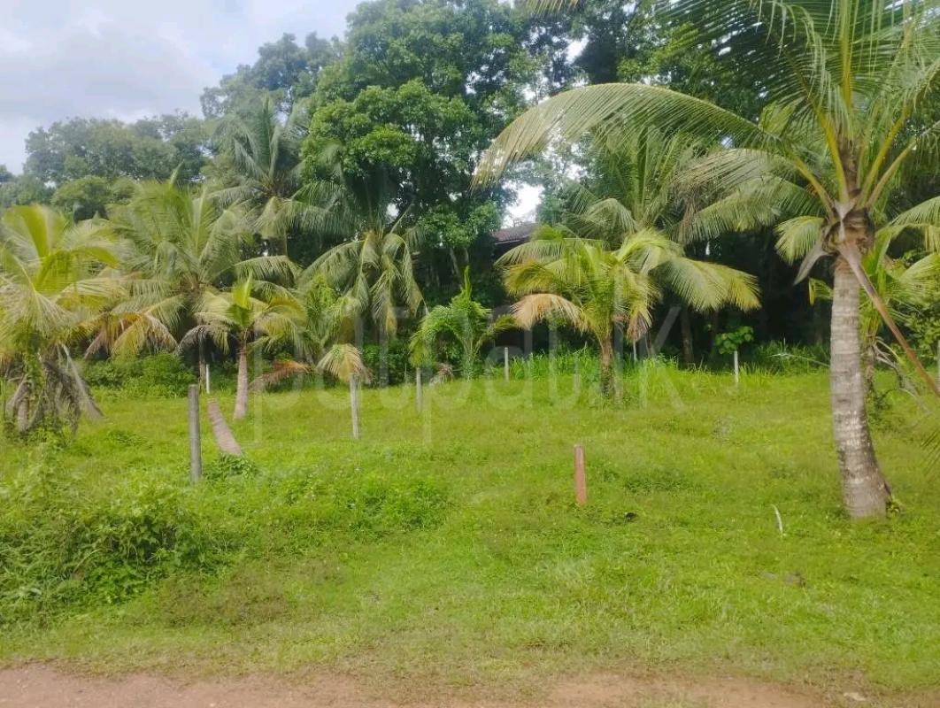 Agricultural Land for Sale in Maho