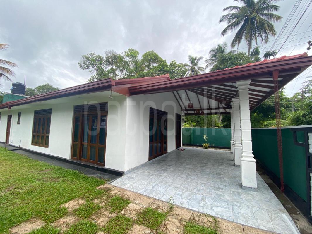 premium-listing-image