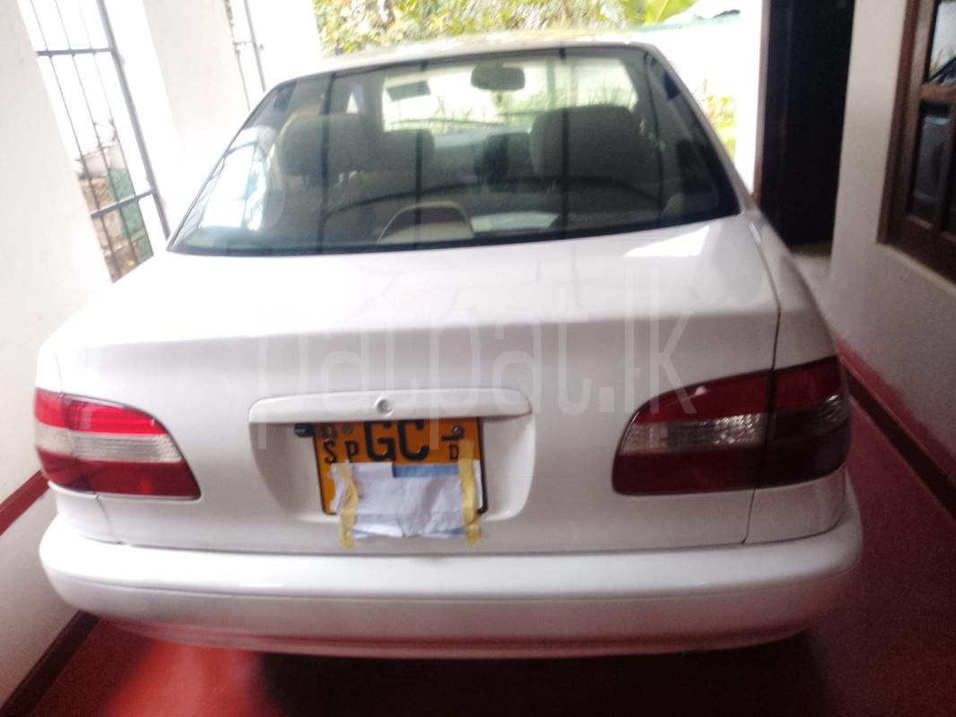 Toyota Corolla 1997 - Used Car sale in Sri Lanka - patpat.lk