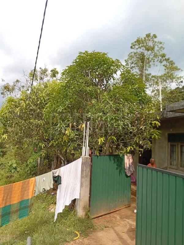 House for Sale in Kumbuka