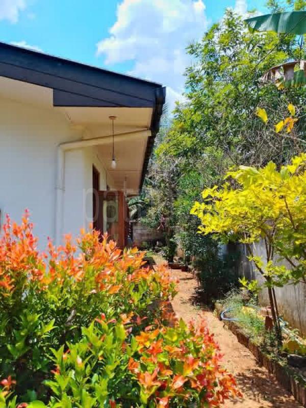 House for Sale in Moragahahena