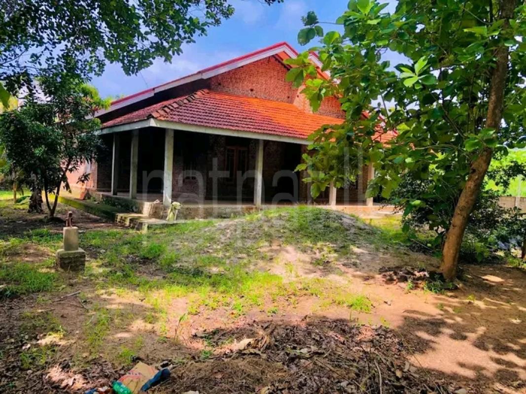 House for Sale in Lunuwila