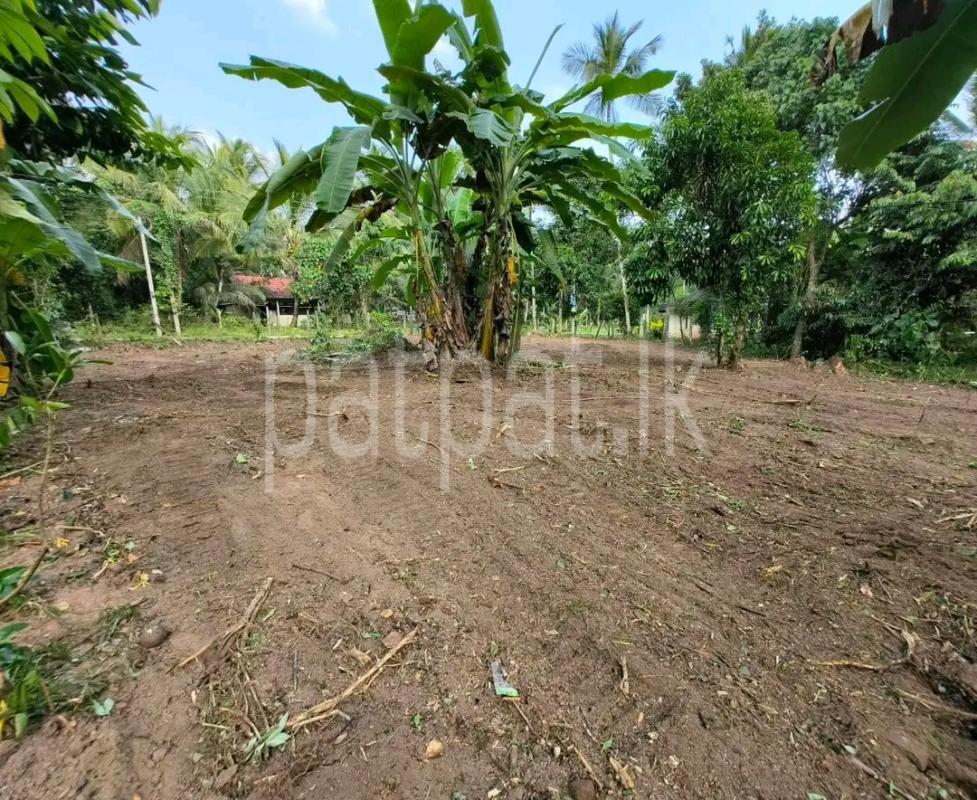 Agricultural Land for Sale in Maho