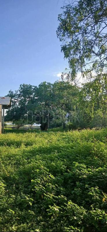 Residential Land for Sale in Tissamaharama