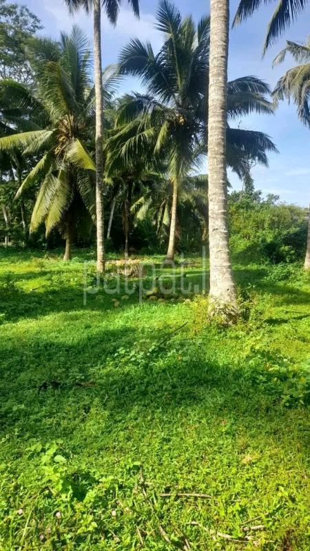 Agricultural Land for Sale in Biyagama