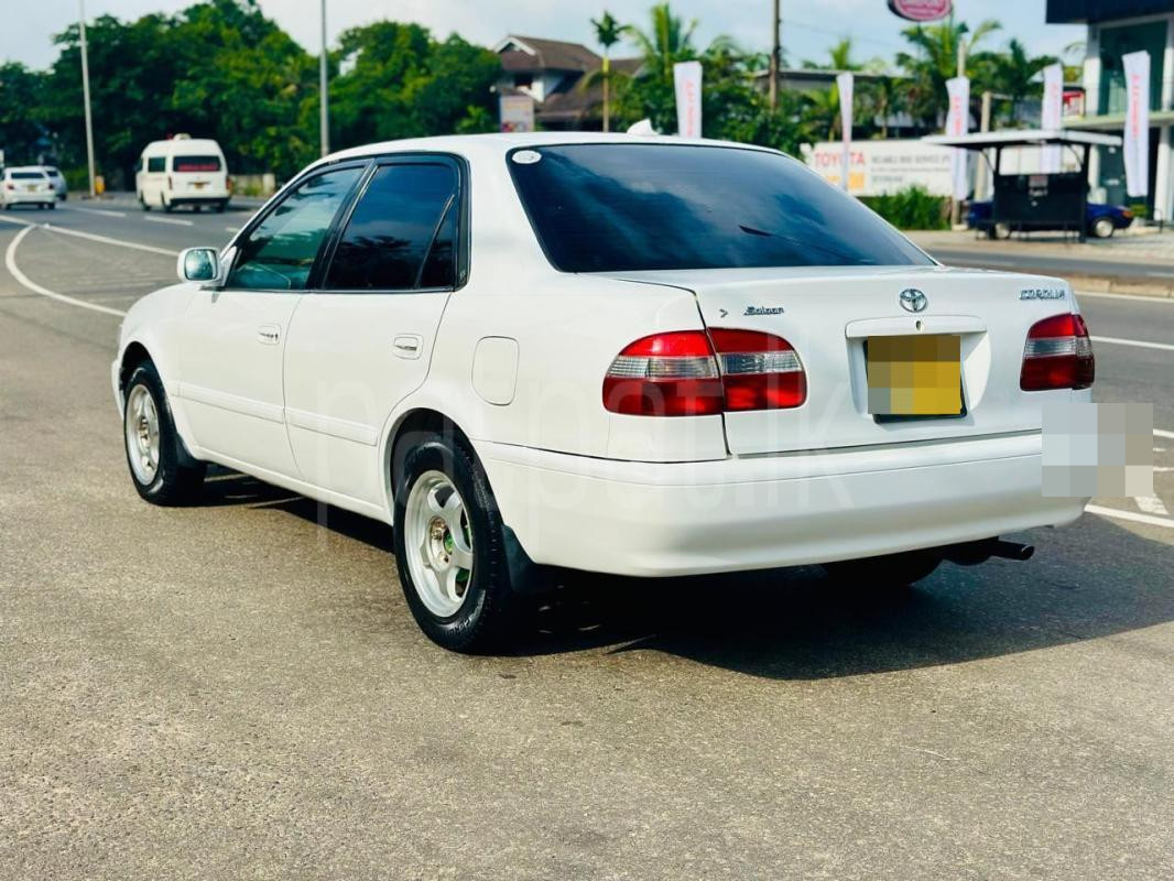 Toyota Corolla 2000 - பயன்படுத்தப்பட்டது கார் sale in Sri Lanka - patpat.lk