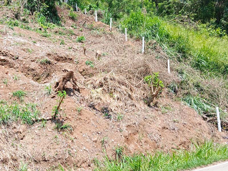 Commercial Land for Sale in Pilimatalawa