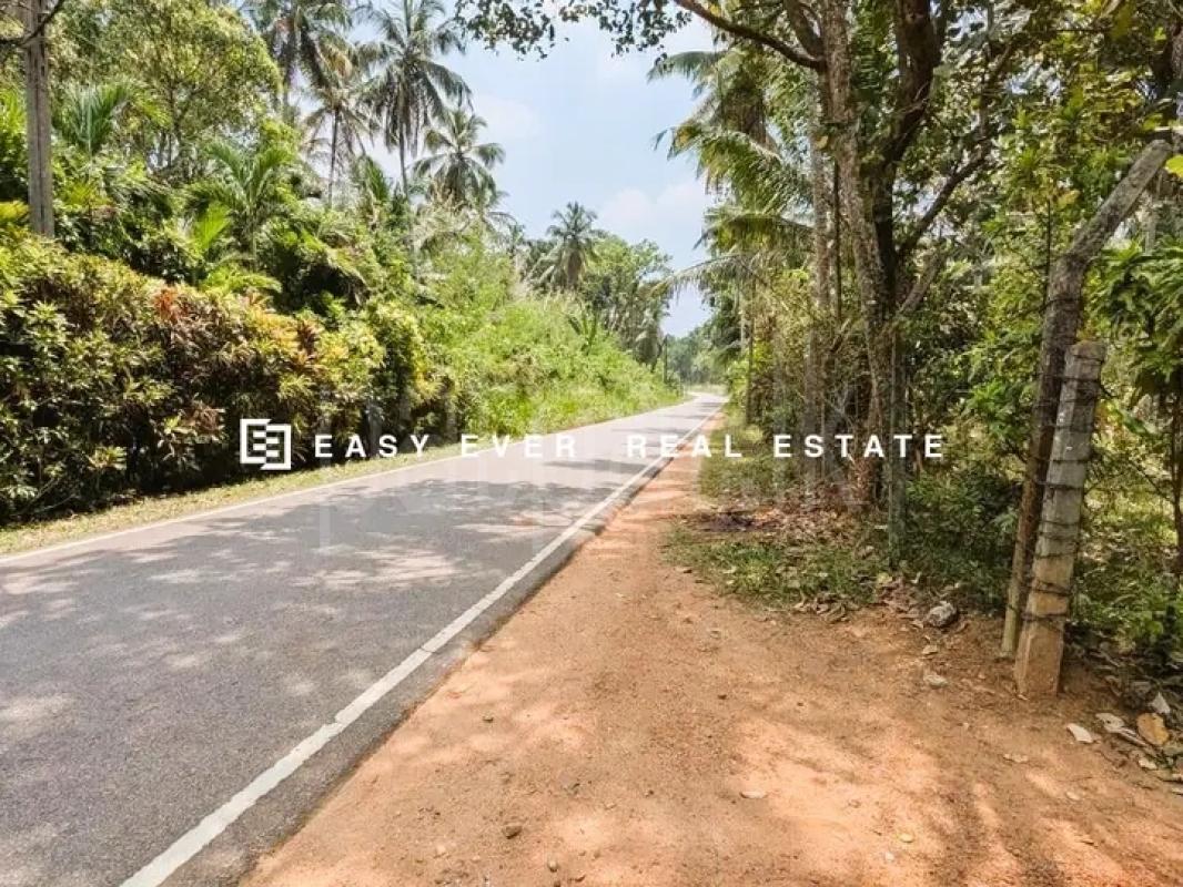 Commercial Land for Sale in Minuwangoda