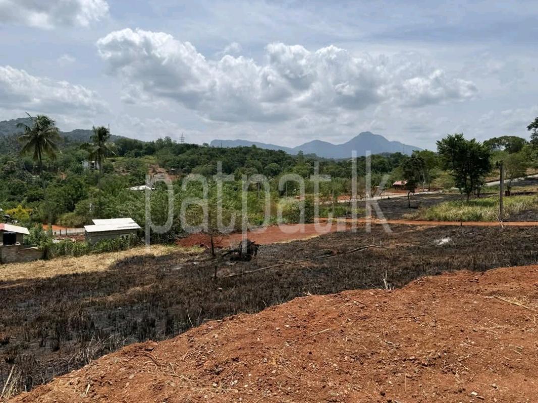 Agricultural Land for Sale in Alwatta