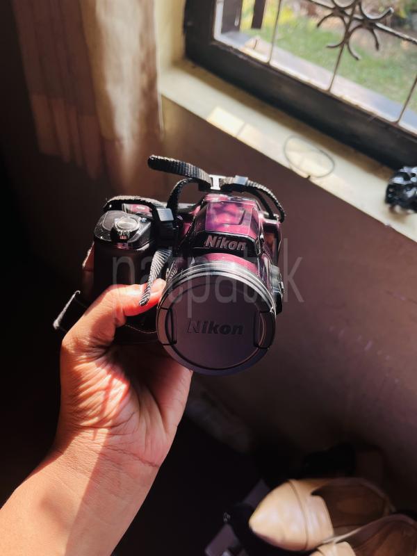 Advertisement image 5