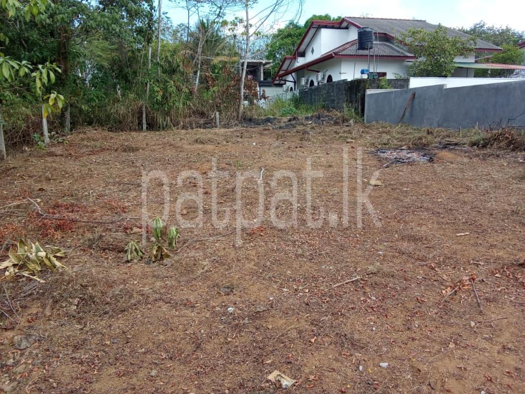 Advertisement image 1