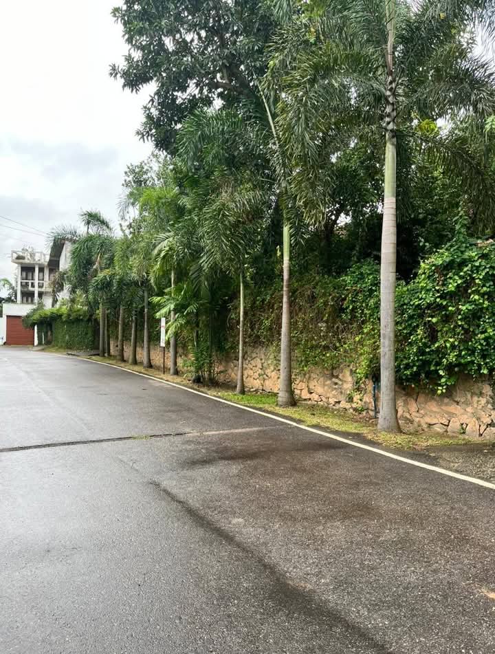 Agricultural Land for Sale in Narahenpita (Colombo 05)