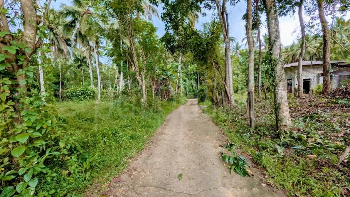 Residential Land for Sale in Kalagedihena