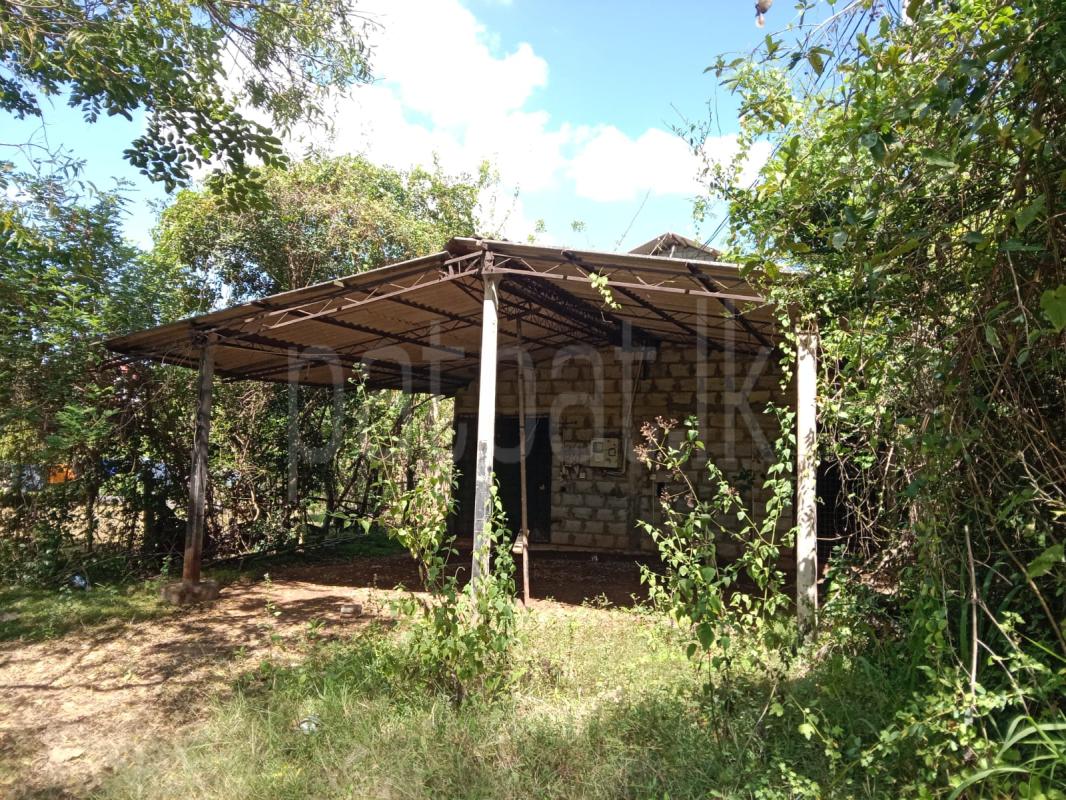 Residential Land for Sale in Anuradhapura ads-image-1