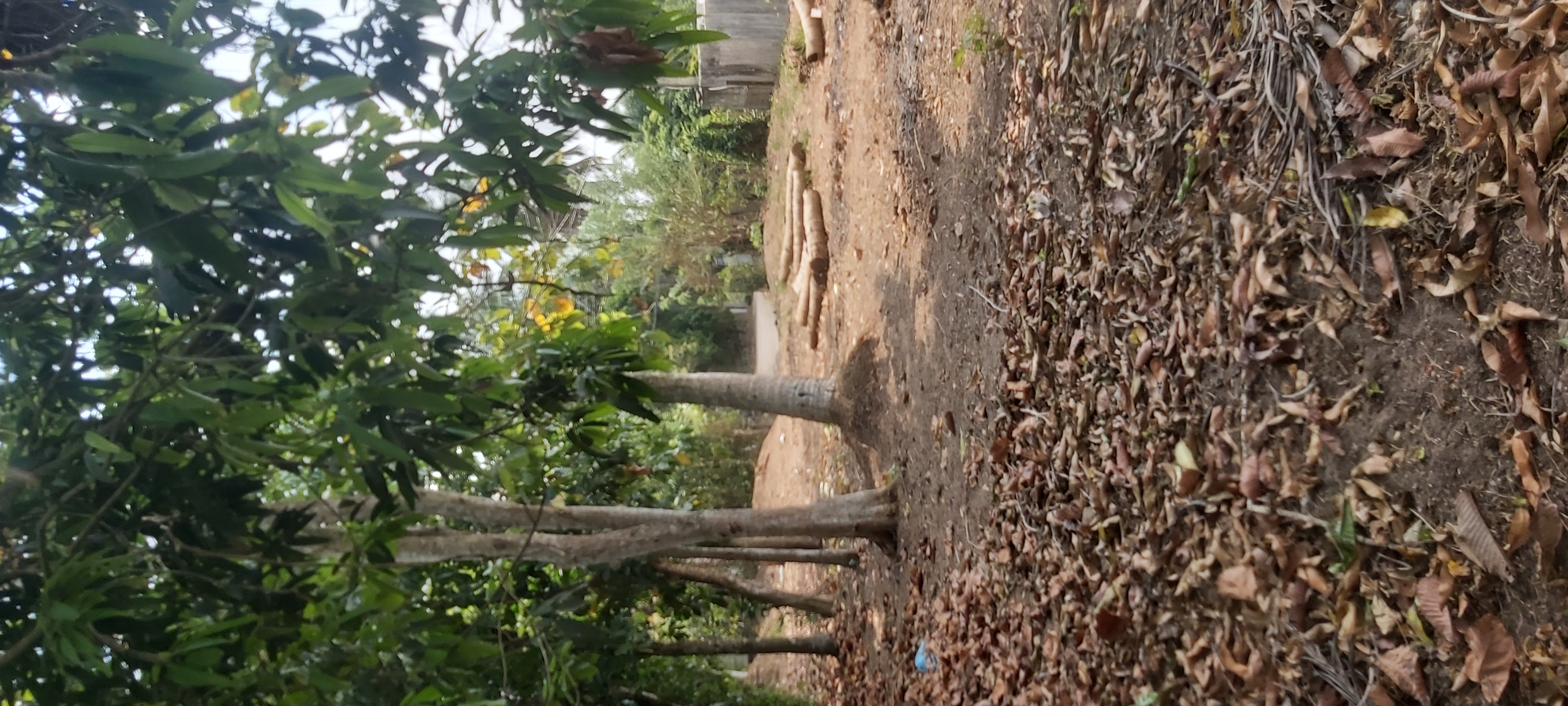Residential Land for Sale in Minuwangoda