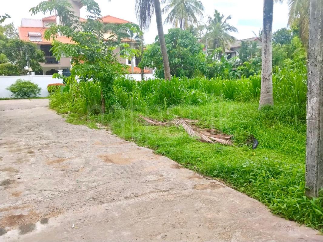 Residential Land for Sale in Piliyandala