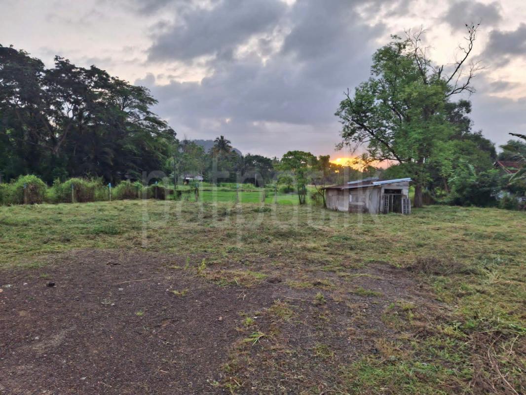Residential Land for Sale in Kurunegala