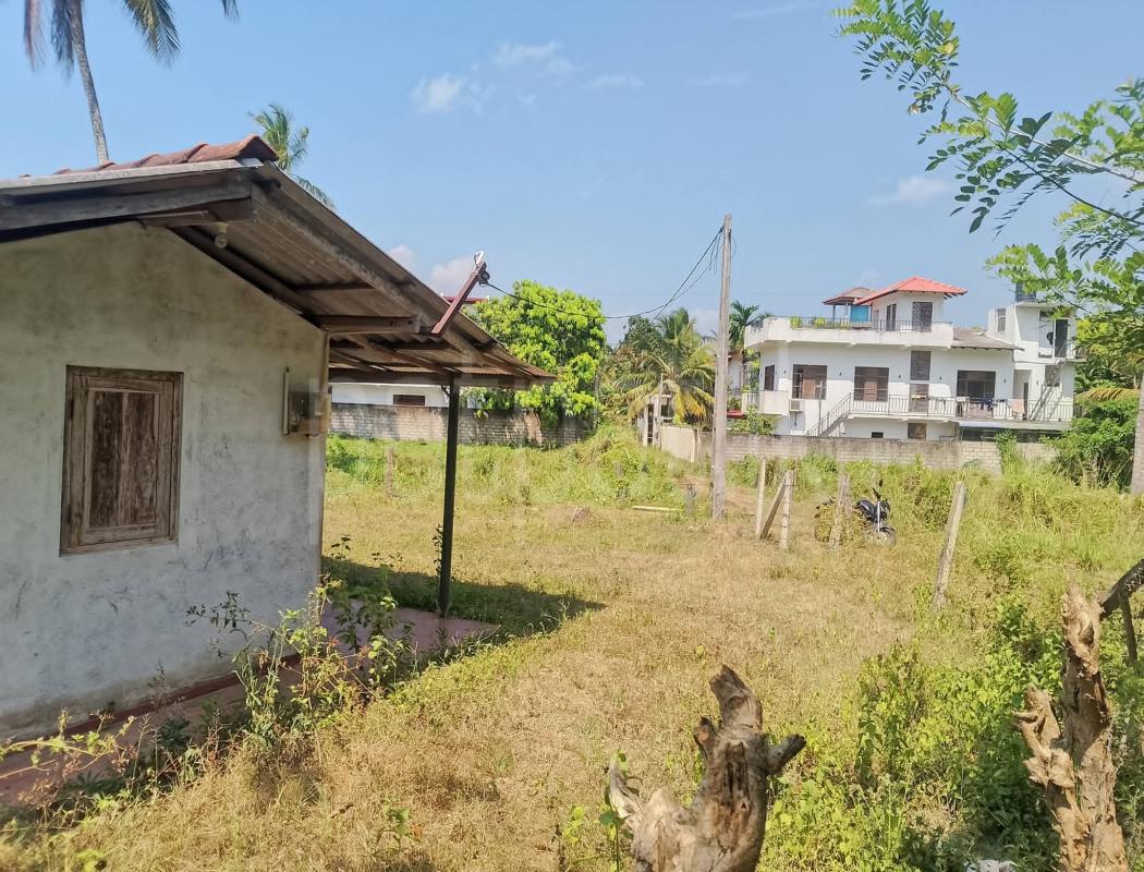 Agricultural Land for Sale in Kurunegala