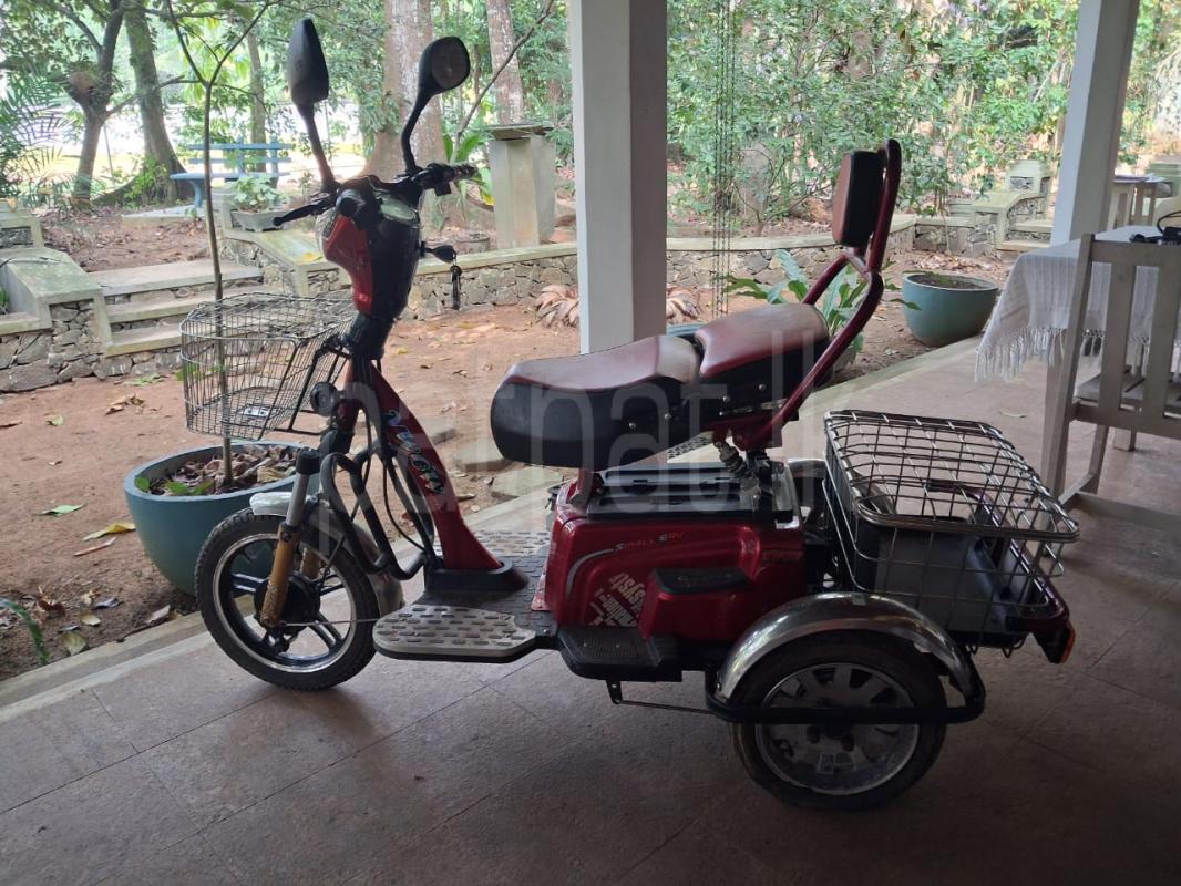 Advertisement image 2