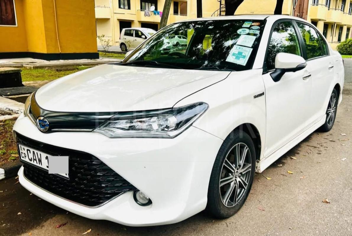 Advertisement image 3