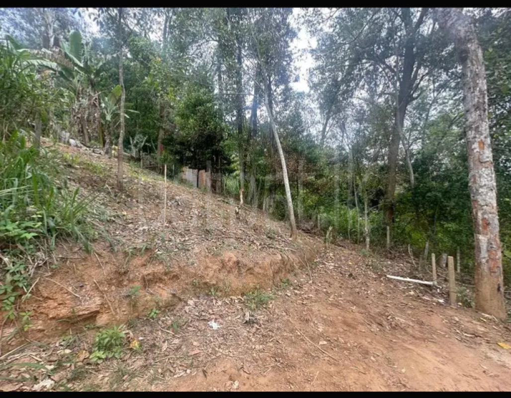 Agricultural Land for Sale in Diyatalawa