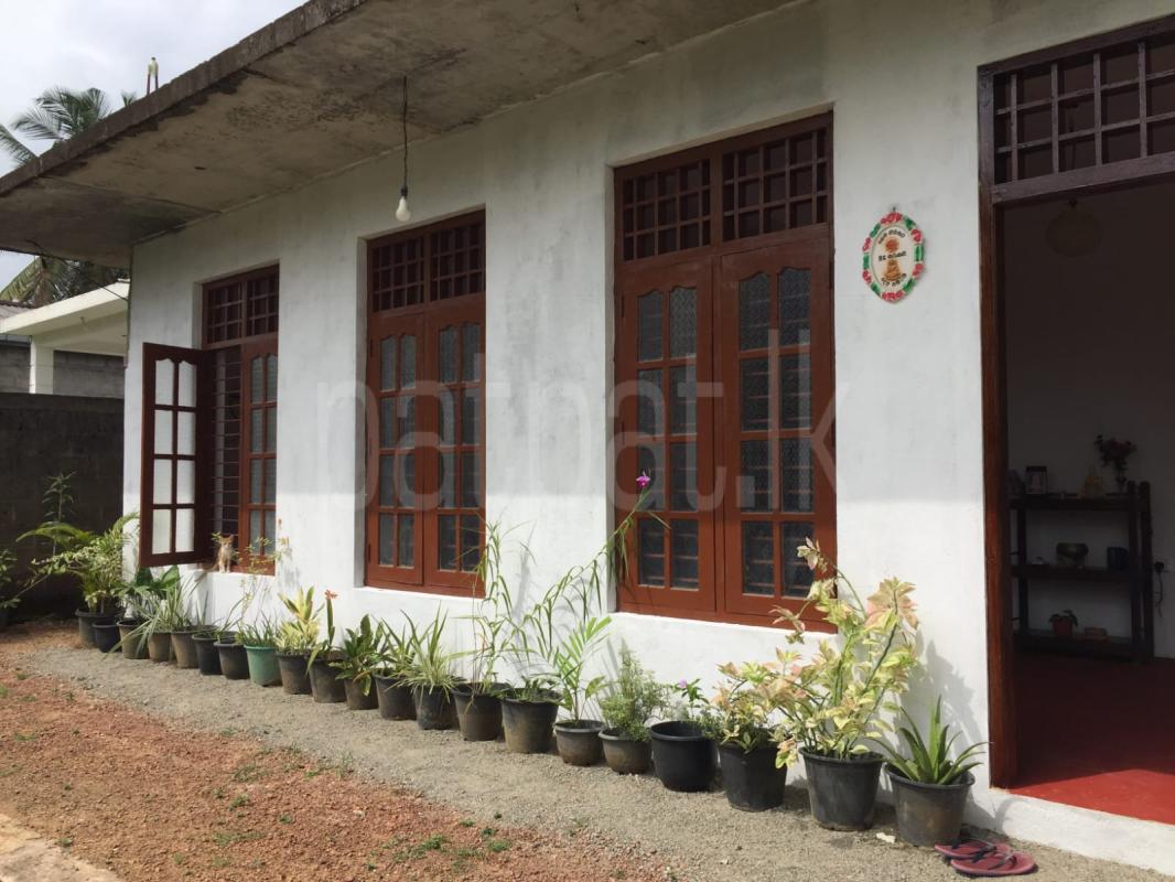House for Sale in Weliveriya
