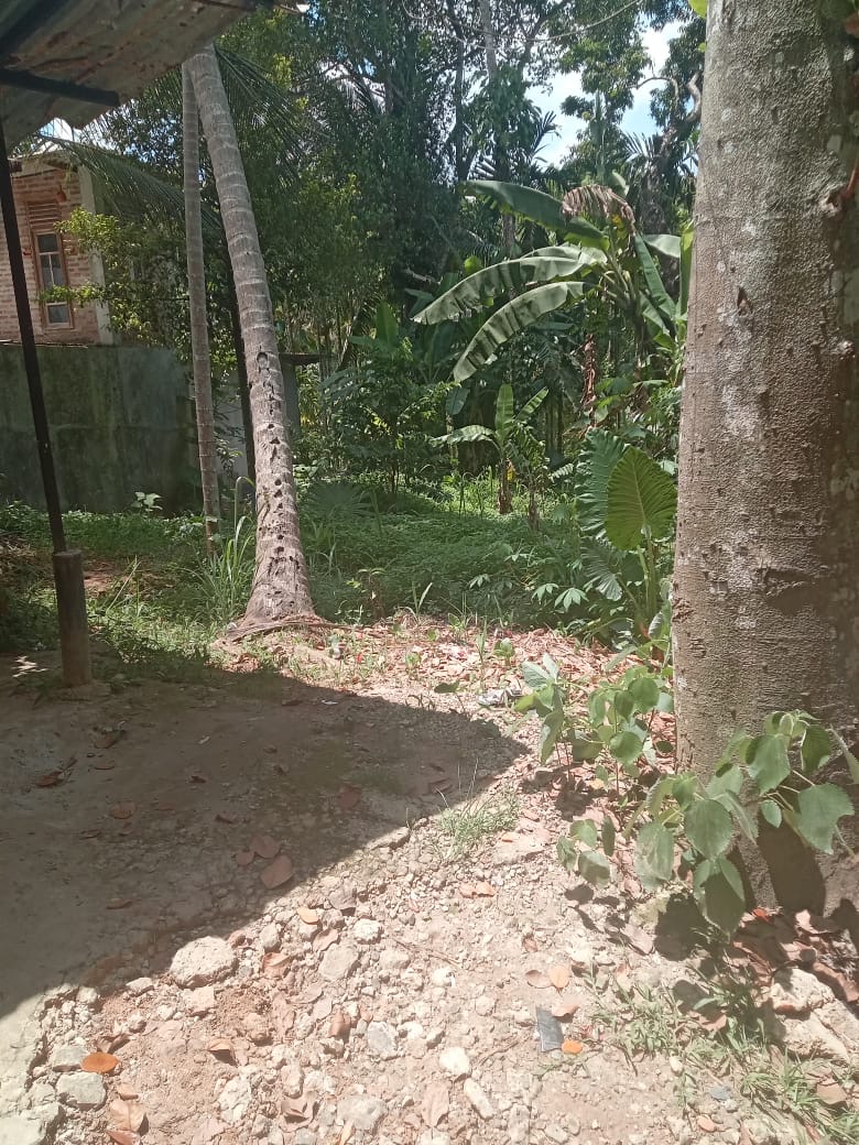 Residential Land for Sale in Medawala Harispattuwa