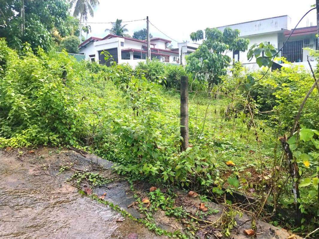 Residential Land for Sale in Piliyandala