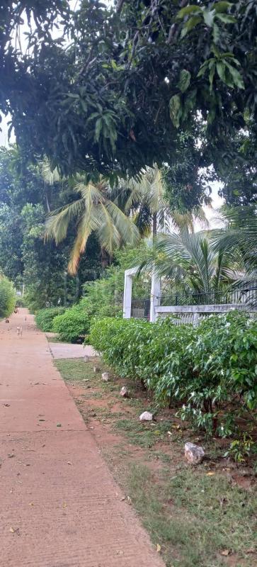 Residential Land for Sale in Kataragama