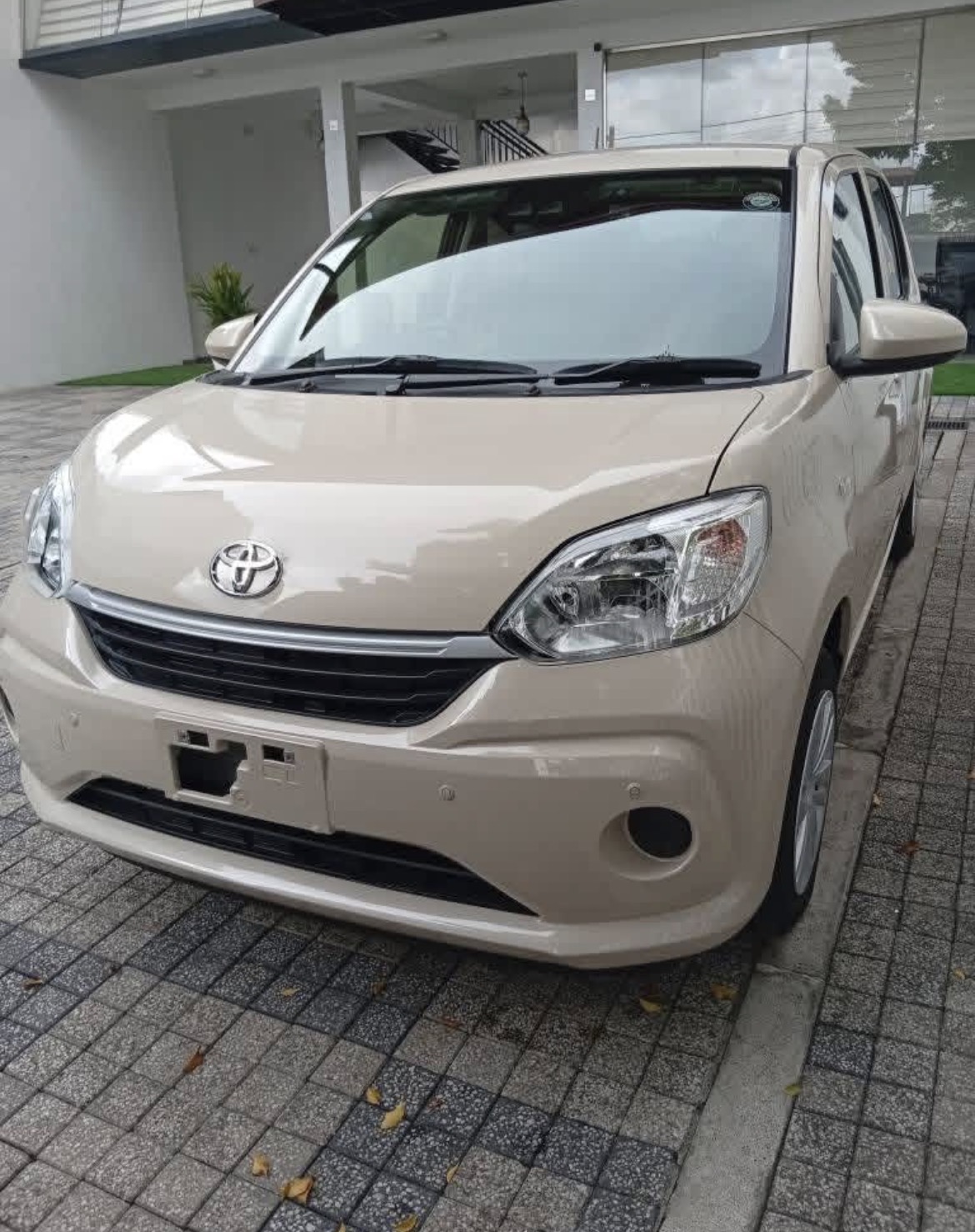 Toyota Passo 2023 - අලුත් කාර් sale in Sri Lanka - patpat.lk