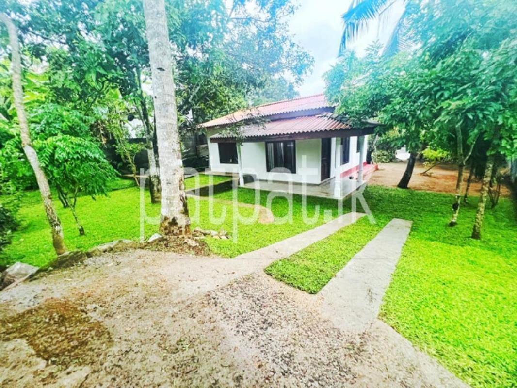 premium-listing-image