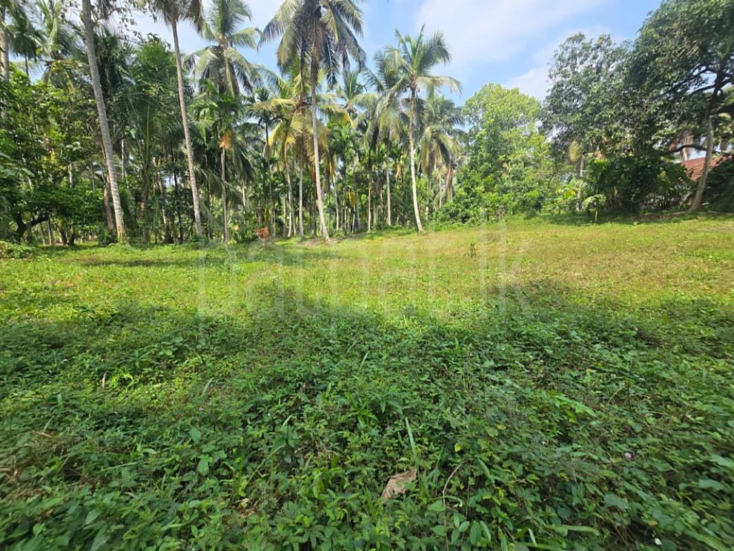 Agricultural Land for Sale in Kadawatha