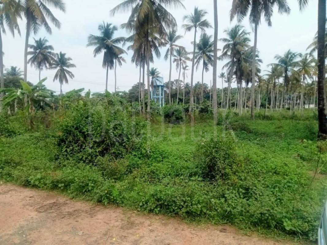 Residential Land for Sale in Kurunegala ads-image-1