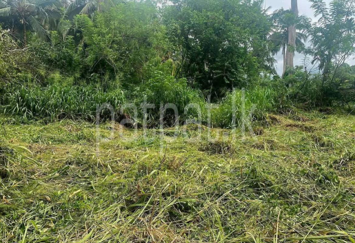 Commercial Land for Sale in Ella